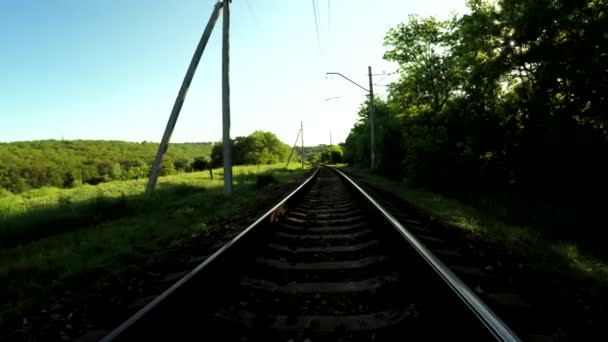 Railroad tracks on nature — Stock Video