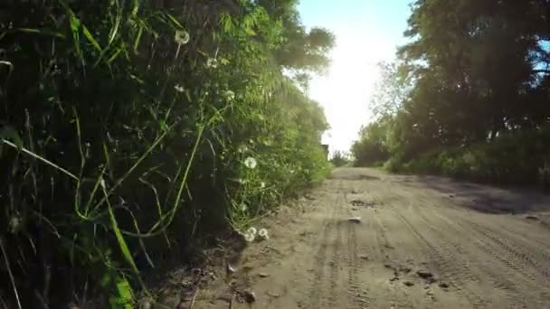 Route près de la clôture 