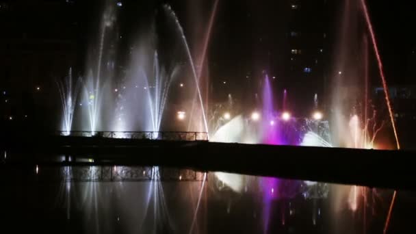 Fontaine dansante la nuit — Video