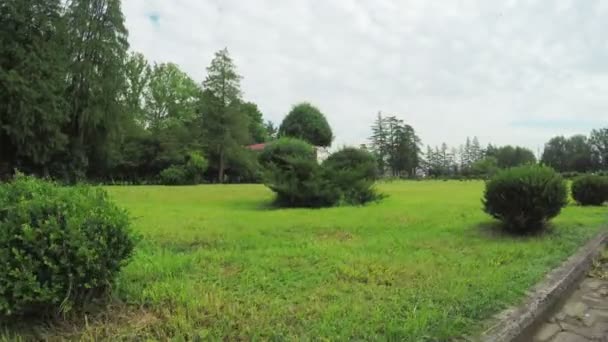 Caminho no parque — Vídeo de Stock