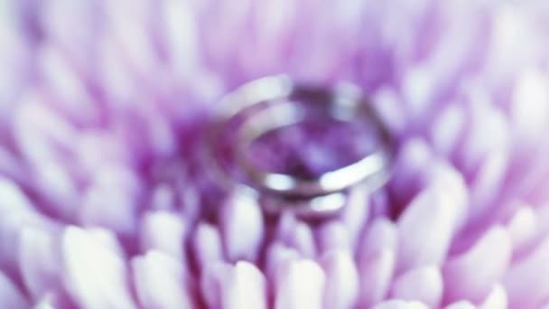 Anillos de boda en flores — Vídeo de stock