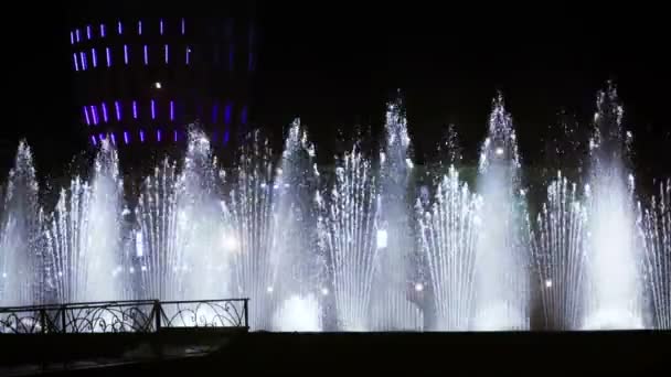 Fontaine dansante la nuit — Video