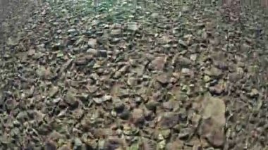 Yol yüzeyi taşlarla
