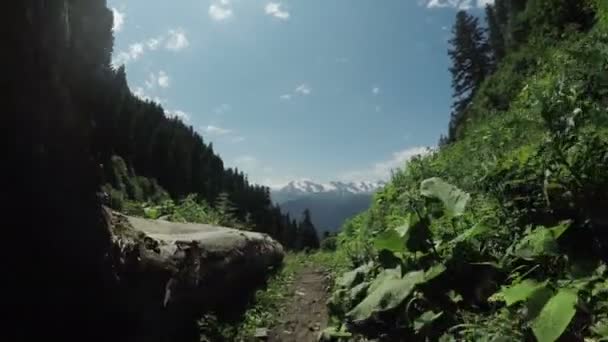 Caminho em prados alpinos — Vídeo de Stock