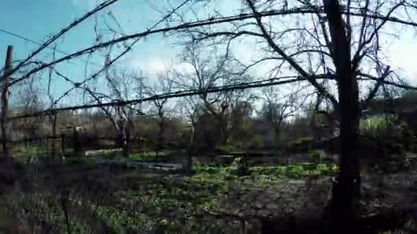 Çit Bahçe arsa — Stok video