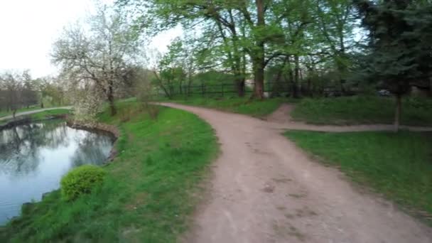 Lago en el parque — Vídeos de Stock