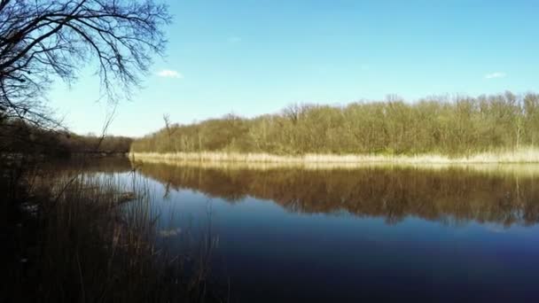 Flussufer an der Natur — Stockvideo