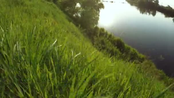 Bord de rivière sur la nature 