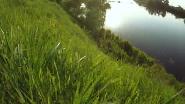 Bord de rivière sur la nature — Video