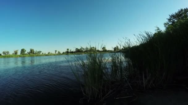 Річка пляжу на природі — стокове відео