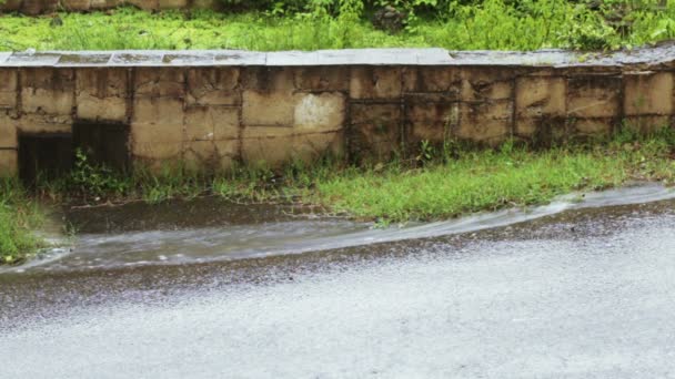 Kraftigt regn på naturen — Stockvideo