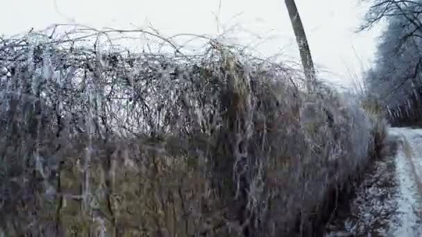 Mesh netting winter — Stock Video