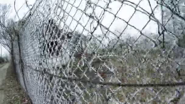 Mesh netting winter — Stock Video