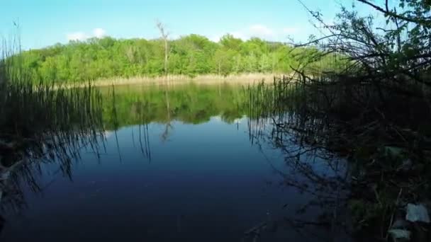 Flodstranden på naturen — Stockvideo