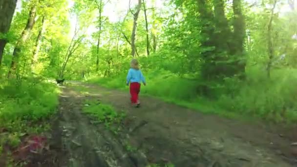 Petite fille dans la nature 