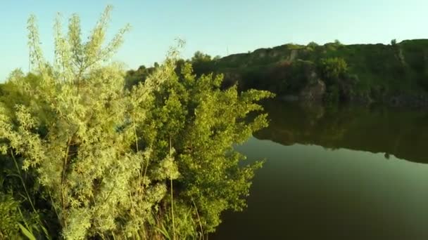 Carrière inondée sur la nature — Video