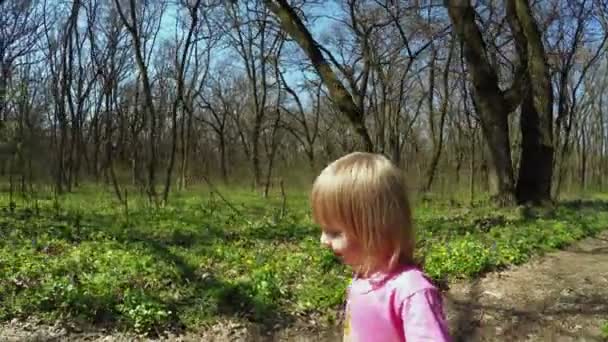 Caminhe em meninas da floresta — Vídeo de Stock