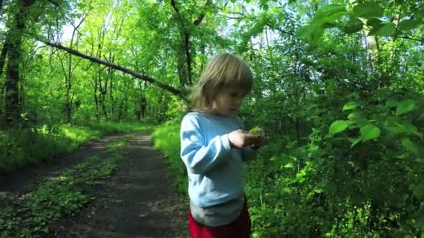 Girl child smelling leaves — Stock Video