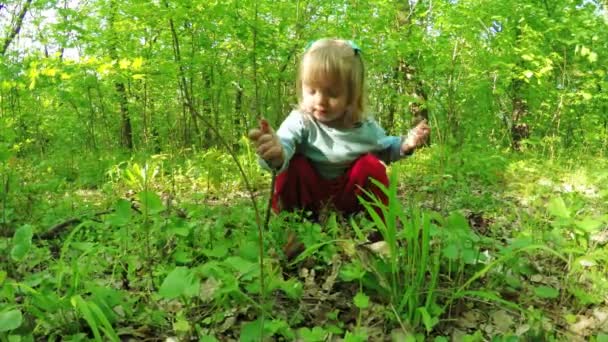 Walk in forest girls — Stock Video