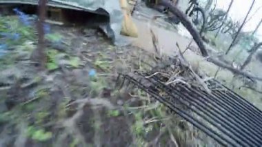 Doğa yapraklarda Temizleme