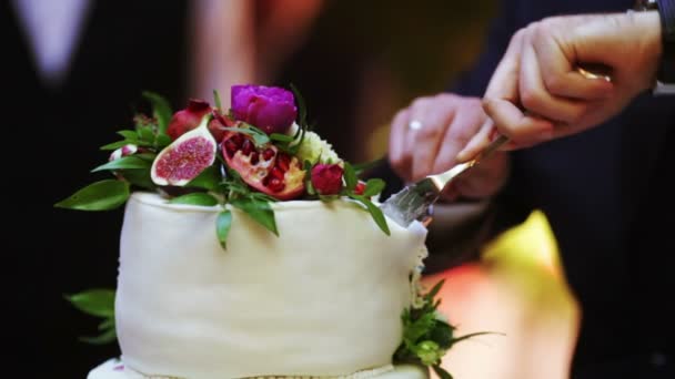 Cutting wedding cake — Stock Video