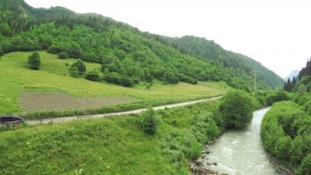 Torre de Svan steadys — Vídeo de Stock