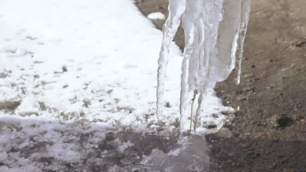 从滴水的冰柱 — 图库视频影像