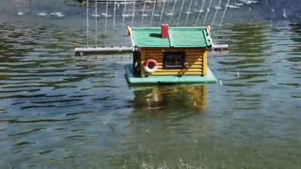 Casa para patos en fuente — Vídeo de stock