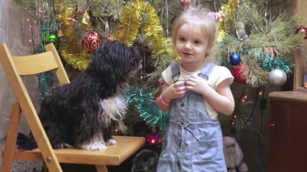 Chica con perro en el árbol de Navidad — Vídeos de Stock