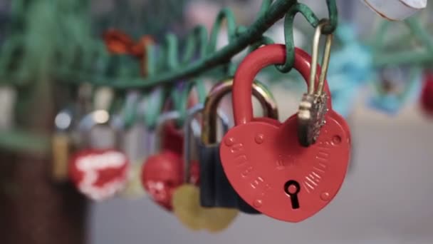 Locks couples on design — Stock Video