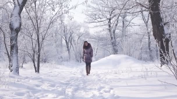 Meisje in de winter bos — Stockvideo