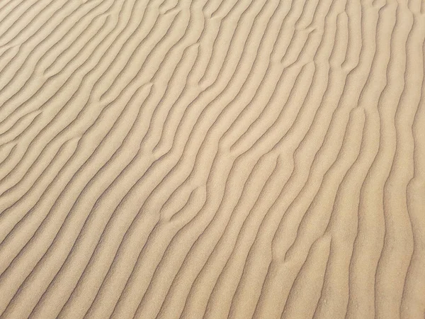 beautiful desert sand background with wind ripples lines or waves effects, transverse sand dune close up.