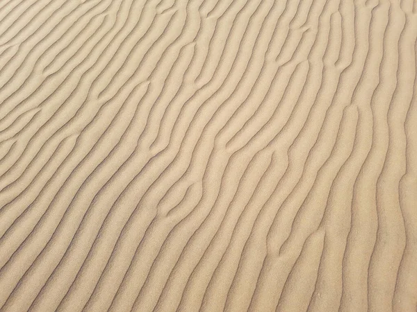 beautiful desert sand background with wind ripples lines or waves effects, transverse sand dune close up.