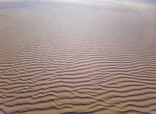 Hermoso Desierto Arena Duna Fondo Viento Ondulaciones Líneas Efectos Las —  Fotos de Stock