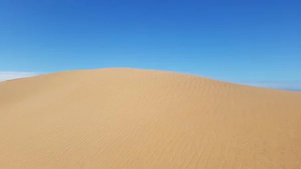 Schöne Perfekte Wüstensanddüne Mit Blauem Himmel Hintergrund Wind Kräuselt Linien — Stockfoto