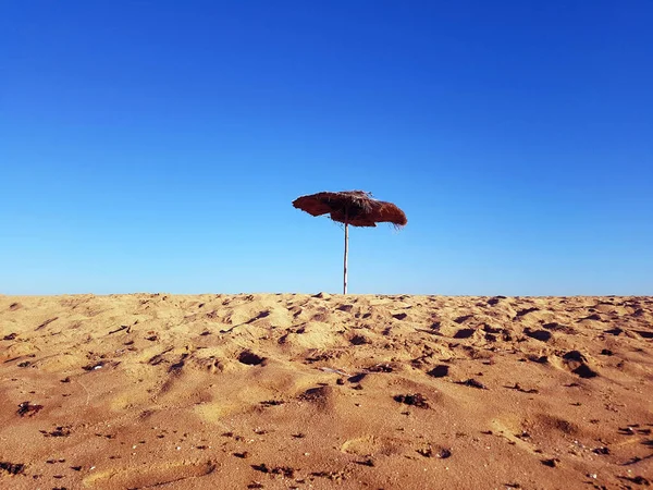 Güneş şemsiyesi kumsalda, alçak açılı, mavi gökyüzü arka planında..