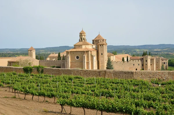 Klasztor w Poblet w środku winnic — Zdjęcie stockowe