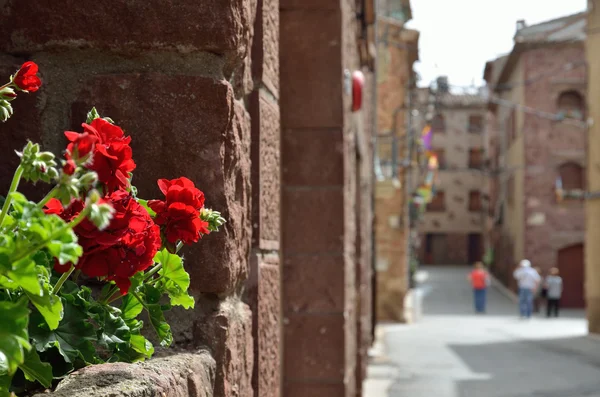 The ancient Spanish red town Prades — Stock Photo, Image