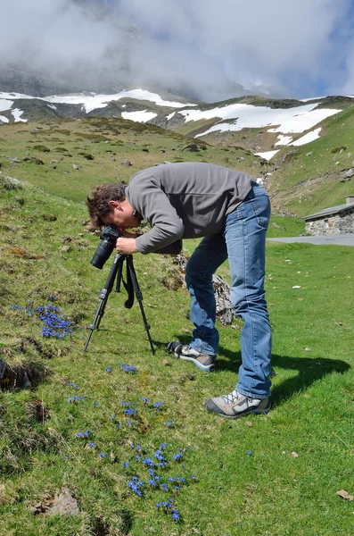 Photographing in the spring Pyrenees — Stock Photo, Image