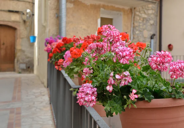 Gatan dekorerad med blommor i krukor — Stockfoto