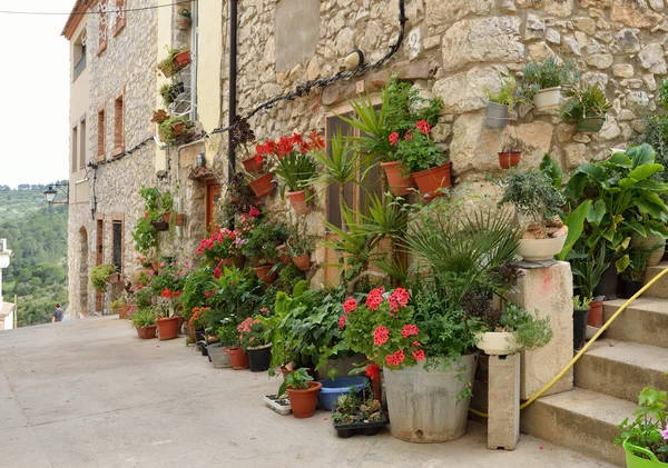Street decorated with flowers in the pots — Stock Photo, Image