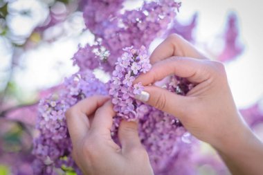 Şırınga leylağının kadın eliyle açtığı anda enfeksiyonu.