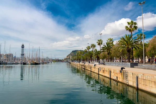 Přístav Barcelonského Vodního Prostoru Létě Palmami Promenádě — Stock fotografie