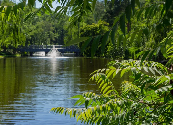 Beautiful Lake Fountains Mezhyhirya Park Novi Petrivtsi Kyiv Ukraine Summer — Stock Photo, Image