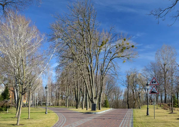 Parc Mezhyhirya Novi Petrivtsi Près Kiev Ukraine Début Printemps — Photo