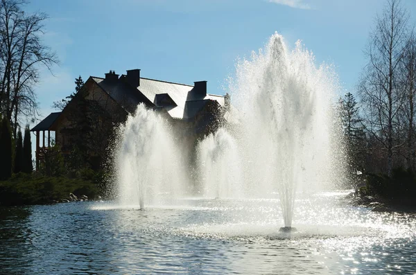 Mezhyhirya Park Novi Petrivtsi Der Nähe Von Kiew Ukraine — Stockfoto