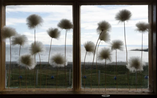 Vista Sul Mare Settentrionale Attraverso Finestra Porsangerfjorden Norvegia Con Decorazioni — Foto Stock