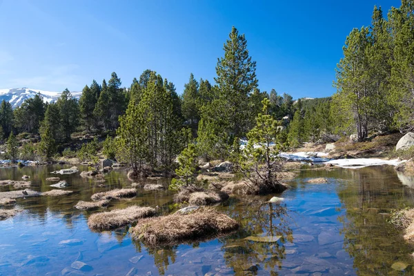 Mountain Lake Matemale Francja Pireneje Wiosna Czas Zielony Niebieski Kolory — Zdjęcie stockowe