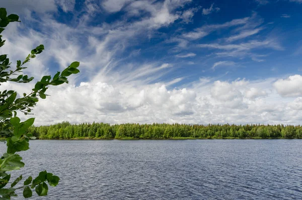 Jezioro Finlandia Szeroki Panorama Błękitne Niebo Białe Chmury Iglasty Las — Zdjęcie stockowe