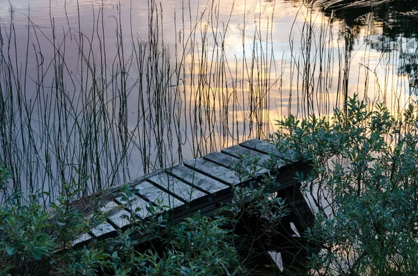 Lake Juuma Finland Sunset Water Wooden Pathway Green Bush — Stock Photo, Image